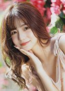 <b>代表人诉讼实施力度</b>